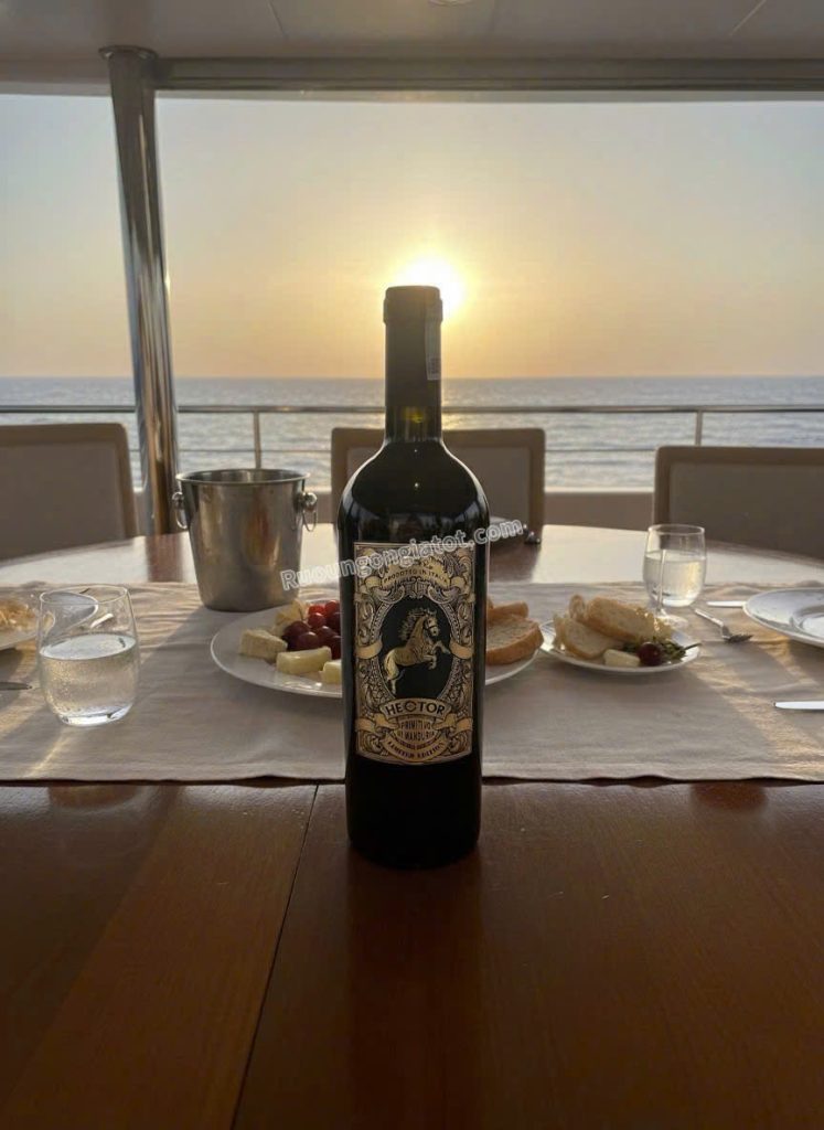 Vang Hector giá bao nhiêu, ảnh chụp chai Primitivo 15 độ Limited Edition